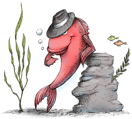 herring