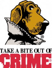 Demystifying the Misdemeanor
