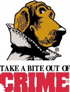 Misdemeanor Crime
