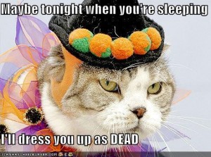 will dispute cat