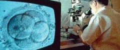 Posthumous Birth Laws, In Vitro Fertilization, and other Legal Quandaries