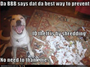 id theft dog shredding