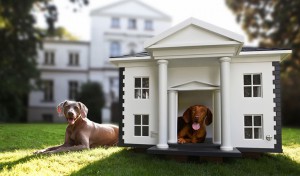 Pet Trust