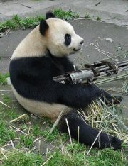 Red Team vs. Blue Team: Gun Control