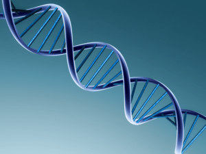 Double Helix