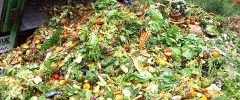 France’s Radical Food Waste Law Is Our Future