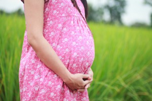 Paid Family Leave