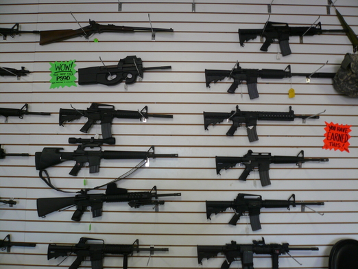 second amendment