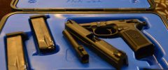 Florida Woman Should Not Have Been Jailed After She Took Her Husband’s Guns and Gave Them to Police