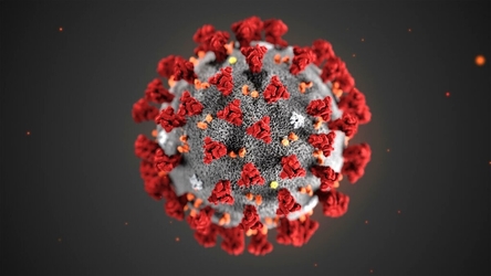 Are Asians Being Discriminated Against Because of the Coronavirus?