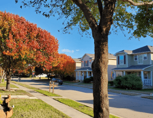 Property Nuisance:  Basketball Hoop in Driveway or Nosy Neighbor?